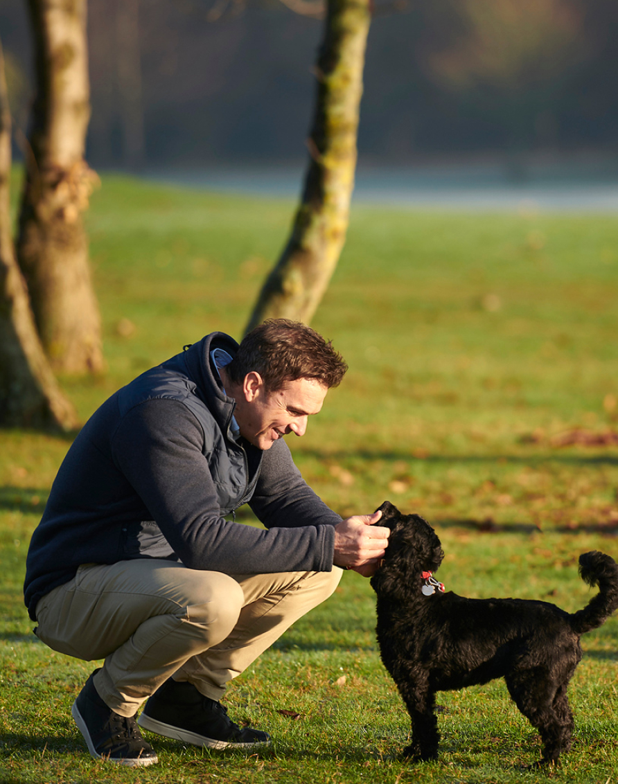 DOG FRIENDLY Crosssell Desktop 1