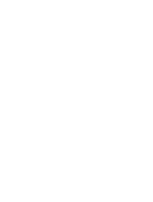 White version - Silver