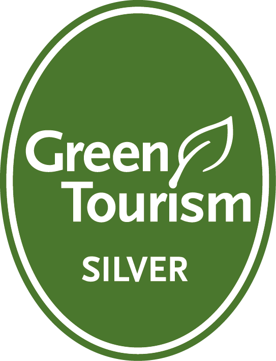 GTBS Generic Silver