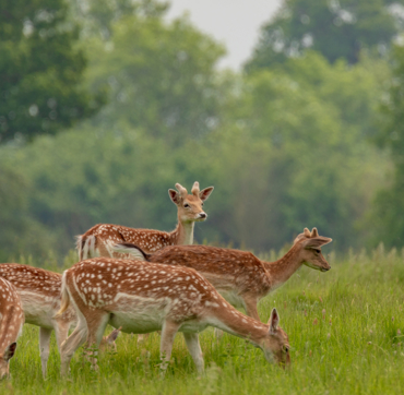 Keyinformation Desktop 01 2