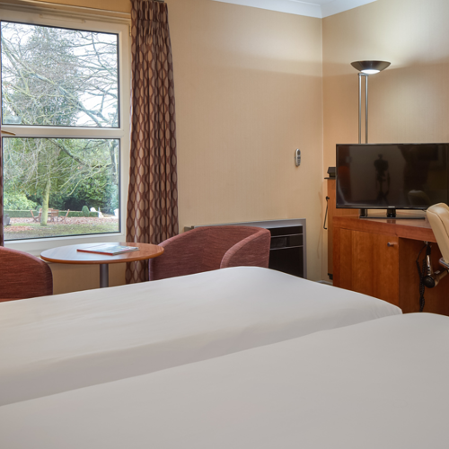 <p>CLASSIC TWIN ROOM</p>