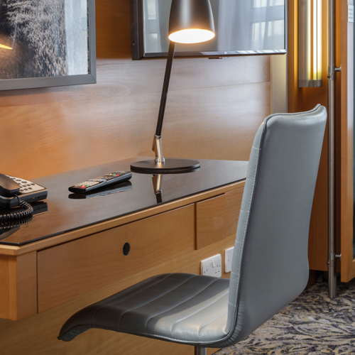 <p>DELUXE ROOM</p>